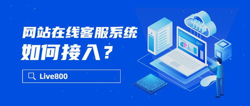 网站在线客服系统与信息系统运行维护服务的无缝接入策略